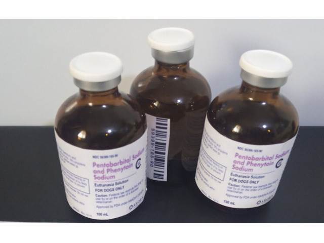 BUY NEMBUTAL ONLINE ( PILLS LIQUID & POWDER,(chemicalsjames96@gmail.com) lsd,mdma,oxycodone