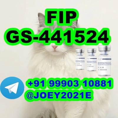  GS-441524 cat Fip Feline Infectious Peritonitis