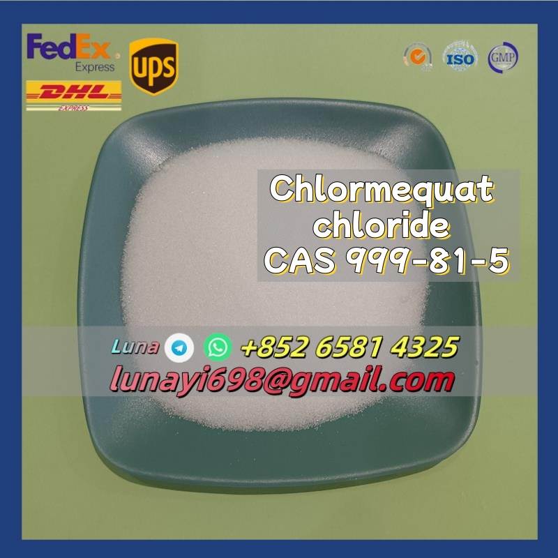 High Purity Chlormequat Chloride Powder CAS 999-81-5 with Safe Delivery