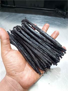 Premium Gourmet Vanilla Whole Bean Pods for sale +27631501216 Vanilla Production in Uganda