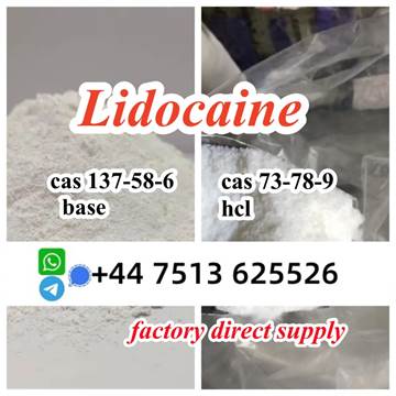 high quality cas 137-58-6 Lidocaine base cas 73-78-9 Lidocaine hcl global ship