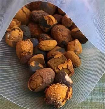 Whatsapp +237651673431/ Buy/sale top Quality Ox Cattle Gallstones Online. Email : jordanchapman20@gm