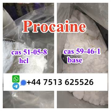  Procaine supplier,Procaine manufacturer,procaine Hcl ,Procaine 