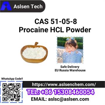 Procaine HCL Powder CAS 51-05-8 Local Anesthesia with Stock APIs