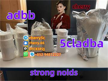 wholesale price noids 5clad 5cladba old 5cl-adb-a powder precursor and raw materials for sale