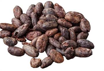 Export African Cocoa Powder Supplier | Source Premium cocoa Sudan United States, United Kingdom, Sou