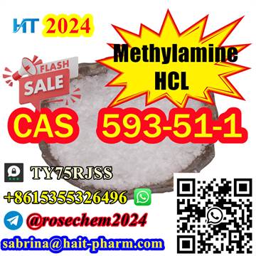 Methylamine hydrochloride CAS 593-51-1 +8615355326496