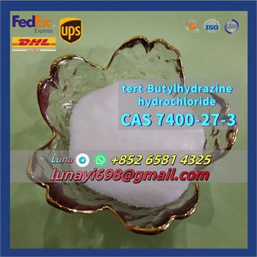 Low Price and Good Quality CAS 7400-27-3 Tert-Butylhydrazine Hydrochloride