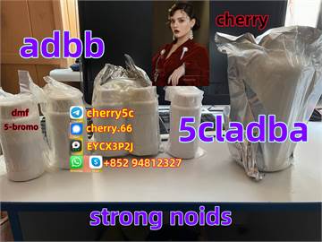 Strongest 5cladba raw material adbb 5fad b precursor powder  liquid dmf