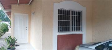 Pintor profesional