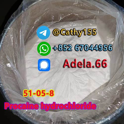   51-05-8 Procaine hydrochloride