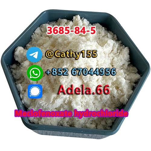 3685-84-5 	Meclofenoxate hydrochloride