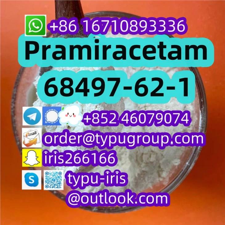 Pramiracetam cas 68497-62-1 Professional Supplie