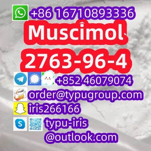 Muscimol cas 2763-96-4 low sale price huge stock 