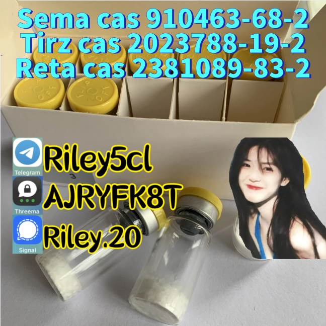 Factory Supply 99% Purity 910463–68–2 2023788–19–2 2381089–83–2