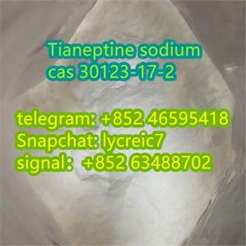 Pramiracetam	68497-62-1