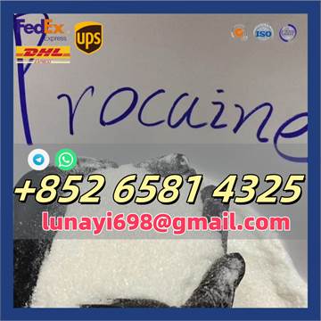 CAS 59-46-1 Procaine/CAS 51-05-8 Procaine Hcl