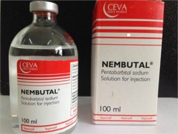  BUY NEMBUTAL ONLINE ,BUY PENTOBARBITAL SODIUM, BUY INJECTABLE NEMBUTAL,BUY NEMBUTAL ONLINE  For you