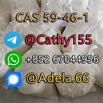 High Purity BMK Powder/Oil Pmk Powder/Oil Potassium Carbonate CAS 584-08-7