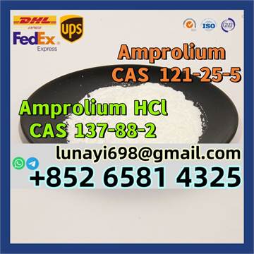 Factory Supply High Quality Amprolium HCl CAS 137-88-2/Amprolium CAS 121-25-5