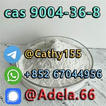 Organic Intermediate CAB Powder Cellulose Acetate Butyrate CAS 9004-36-8