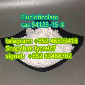 Fluclotizolam cas 54123-15-8