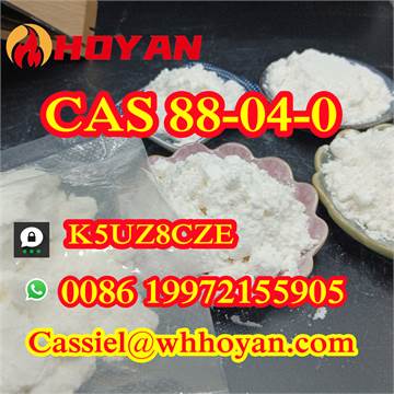 Hot sell 4-Chloro-3,5-Xylenol(PCMX) CAS 88-04-0 white powder whatsapp 0086 19972155905