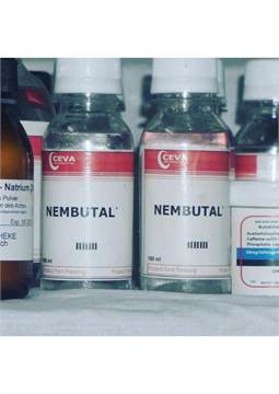  BUY NEMBUTAL ONLINE ,BUY PENTOBARBITAL SODIUM, BUY INJECTABLE NEMBUTAL,BUY NEMBUTAL ONLINE  For you