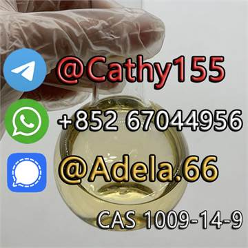 Synthetic chemical 5-Bromo-1-Pentene Liquid CAS 1119-51-3 with Fast Delivery