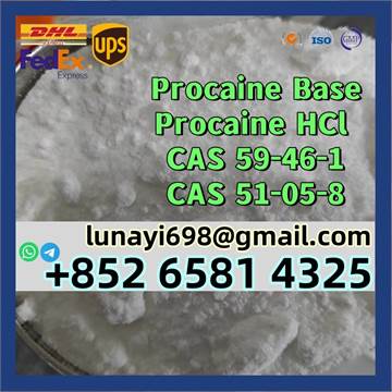 100% Customs Clearance Procaine Base/ Procaine Hcl CAS 59-46-1/51-05-8