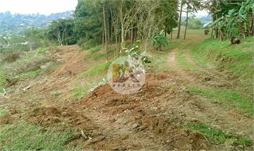 Oportunidad de Inversión, Terreno de 40,242m2 Milla 13, Las Cumbres