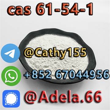 China Research 5-Methoxytryptamine CAS 608-07-1 & 61-54-1 Synthesized Chemicals for Material Interme