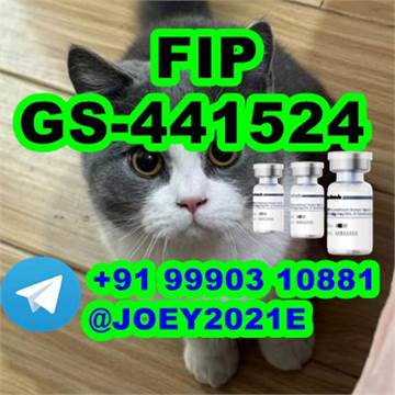  GS-441524 cat Fip Feline Infectious Peritonitis