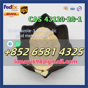 CAS 43120-28-1 1H-indazole-3-carboxylic acid methyl ester