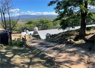 SE VENDE GRANJA AVÍCOLA COSTA RICA