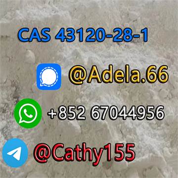 High Purity BMK Powder/Oil Pmk Powder/Oil Potassium Carbonate CAS 584-08-7