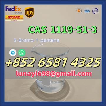 CAS 1119-51-3 5-Bromo-1-pentene