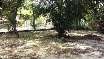 Cerca de Gorgona y Coronado en Cabuya Chame