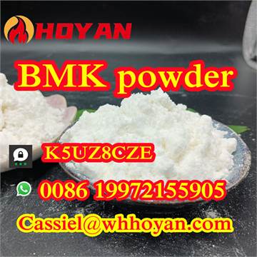 Bmk powder cas 5449-12-7 safety to Holland 