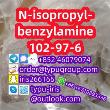 N-isopropylbenzylamine cas 102-97-6 with low price 