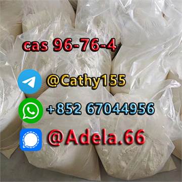 High quality Syntheses Material Intermediates 2 4-Di-tert-butylphenol CAS No.96-76-4