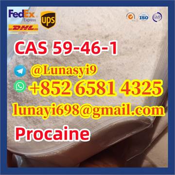 Procaine CAS 59-46-1