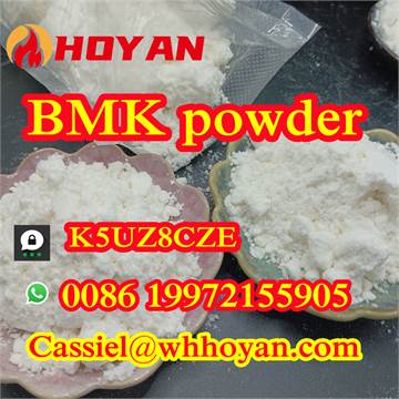 Manufactory Wholesale 5449-12-7 CAS BMK Glycidic Acid powder 