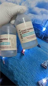 BUY NEMBUTAL ONLINE ,BUY PENTOBARBITAL SODIUM, BUY INJECTABLE NEMBUTAL,BUY NEMBUTAL ONLINE  