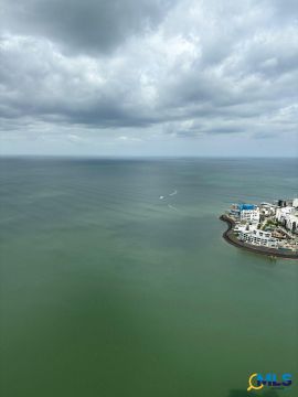 VENDO APARTAMENTO PUNTA PACIFICA THE OCEAN CLUB ANTIGUO TRUMP
