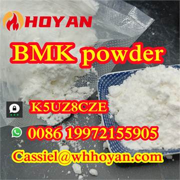 Chinese Supplier Glycidic Acid sodium salt CAS 5449-12-7 white powder whatsapp 0086 19972155905