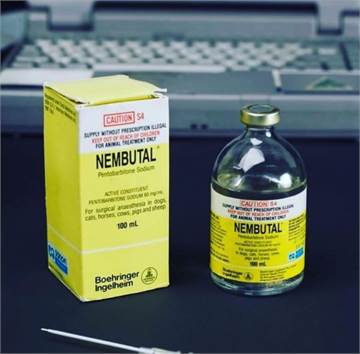  BUY NEMBUTAL ONLINE ,BUY PENTOBARBITAL SODIUM, BUY INJECTABLE NEMBUTAL,BUY NEMBUTAL ONLINE  For you