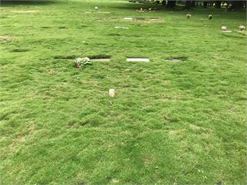 Lote en cementerio Jardín de Paz – Parcela del Recuerdo