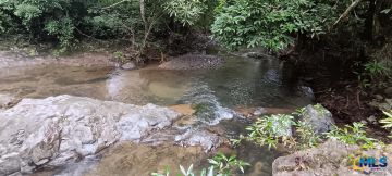 Venta de Finca &#8211; Quebrada Grande, Los Santos