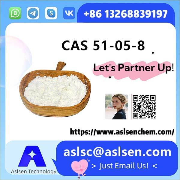 CAS 51-05-8 procaine hcl